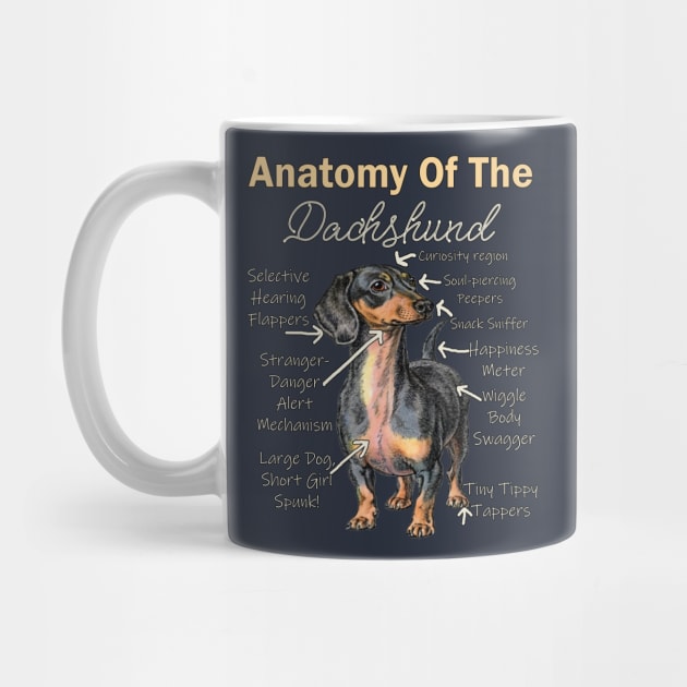 Dachshund Funny Anatomy Doxie Lover by tamdevo1